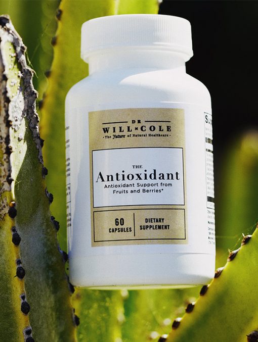 The Antioxidant 4