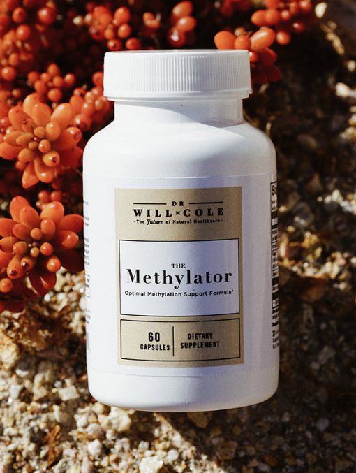 The Methylator 3
