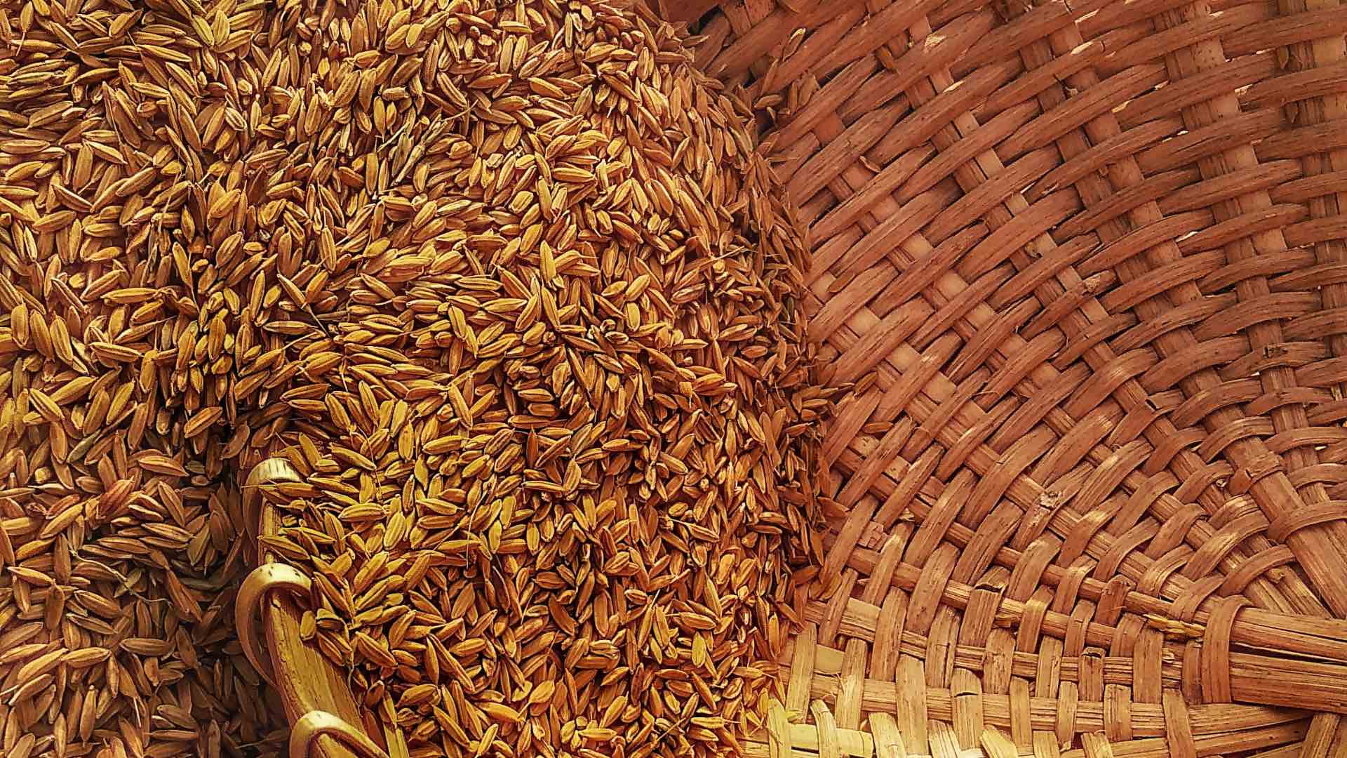 Grain And In A Basket