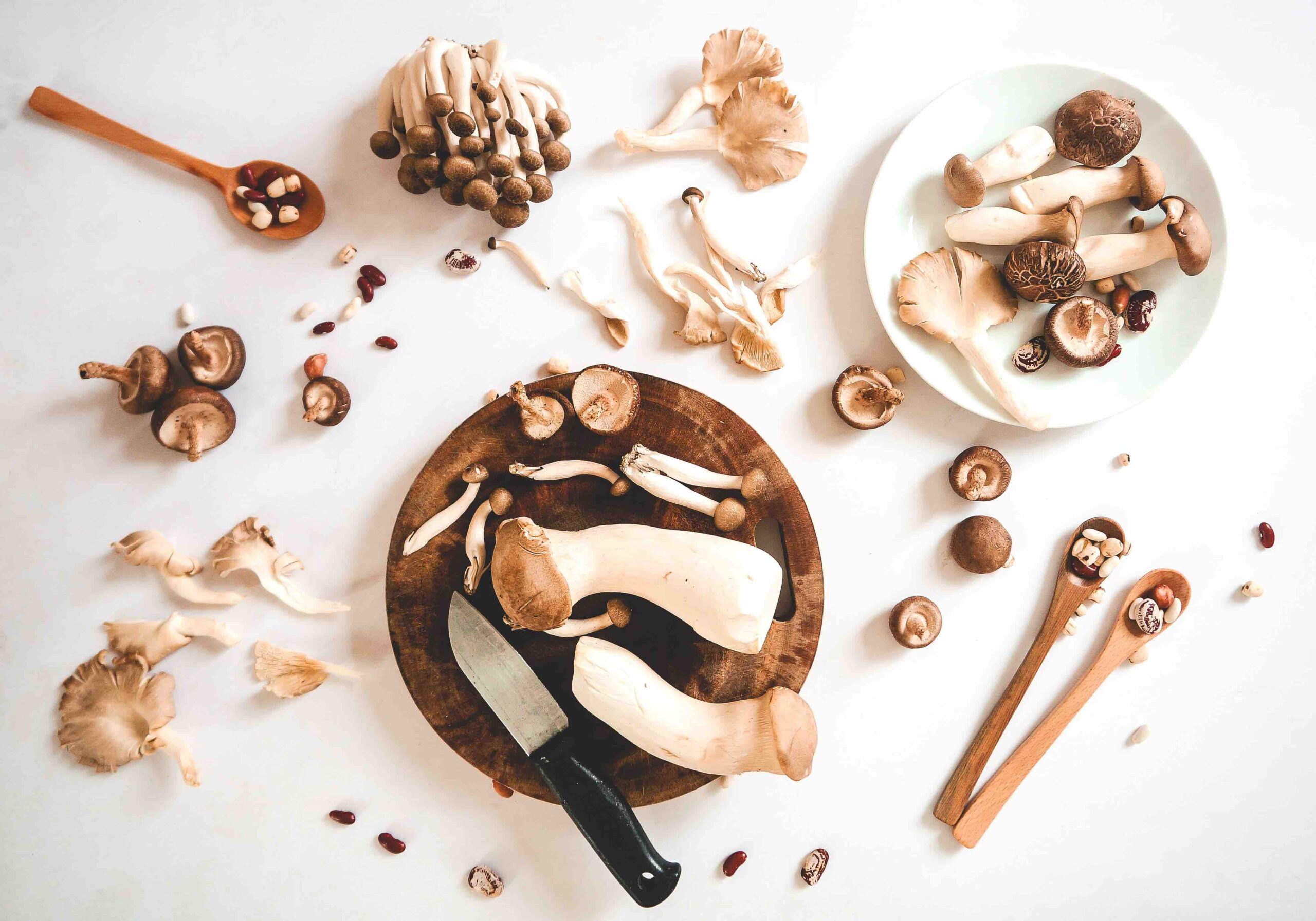 Mushrooms And Brain Health