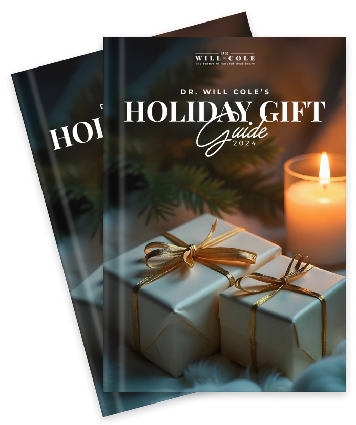 Holiday-Gift-Guide-2024-E-Book