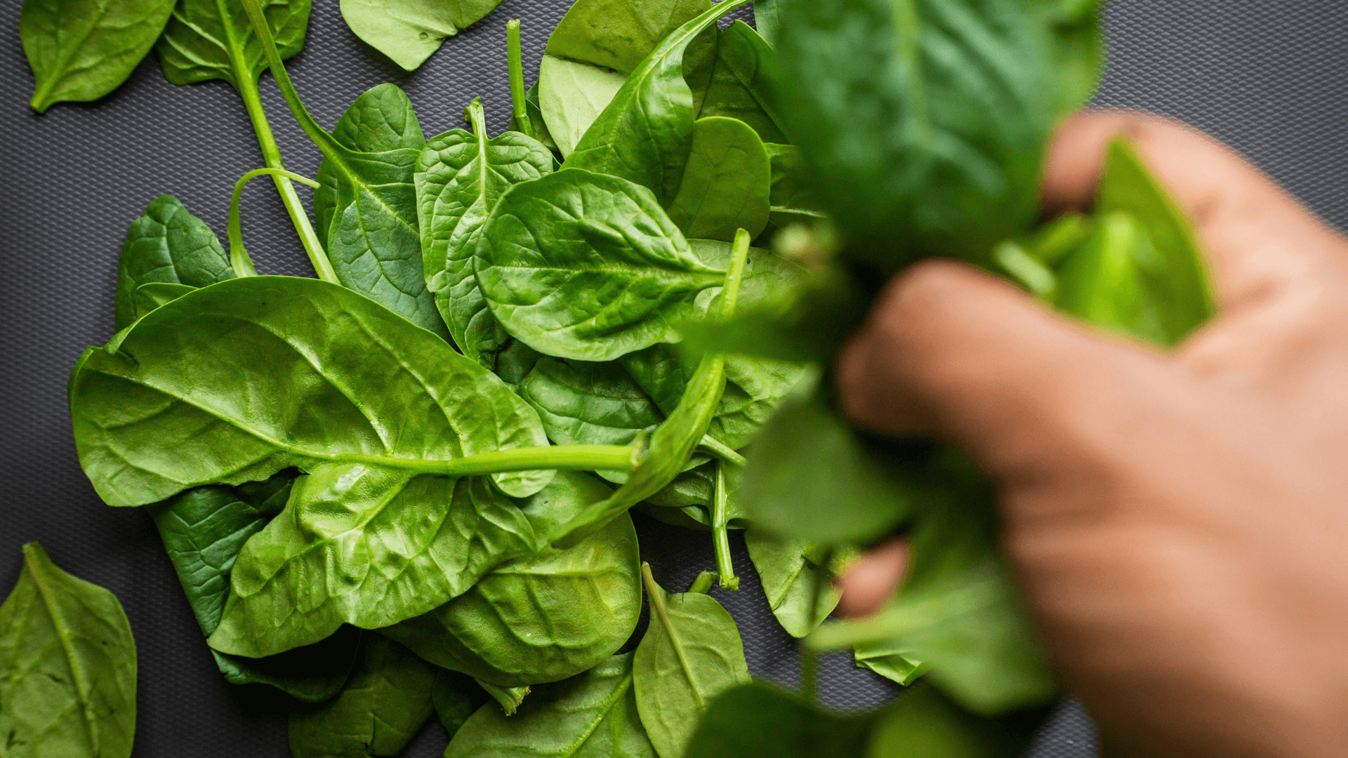 Handful Of Spinach