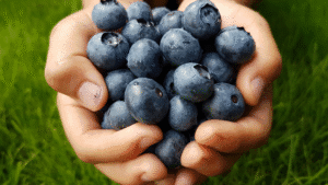 Handful Of Blueberries