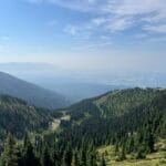 Dr. Will Cole - Brian 1