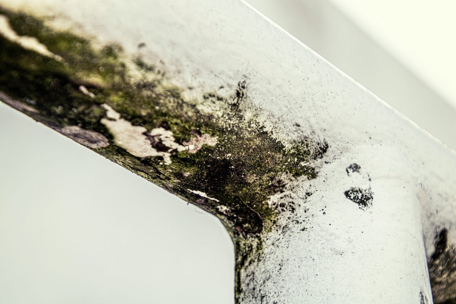 Mold And Ocd