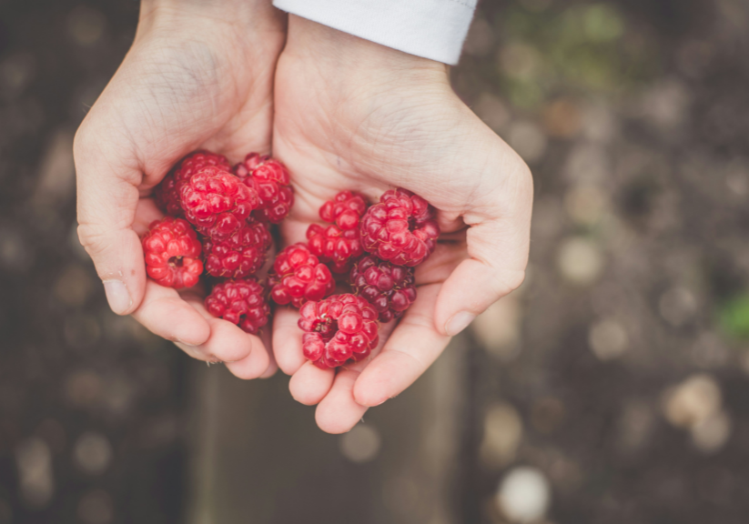 Handful Of Raspberries