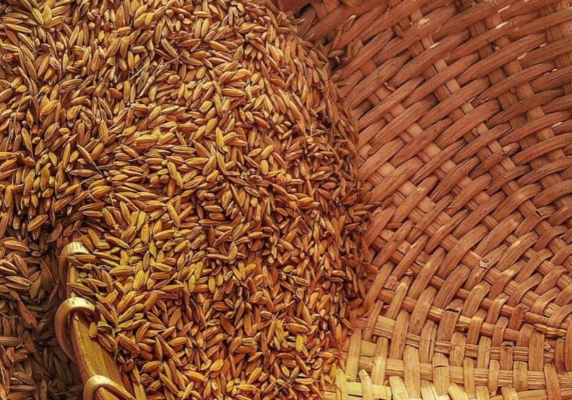 Grain And In A Basket