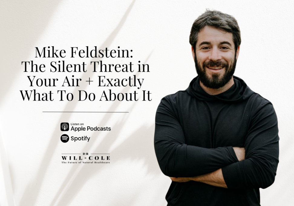 Mike Feldstein - Blog Post