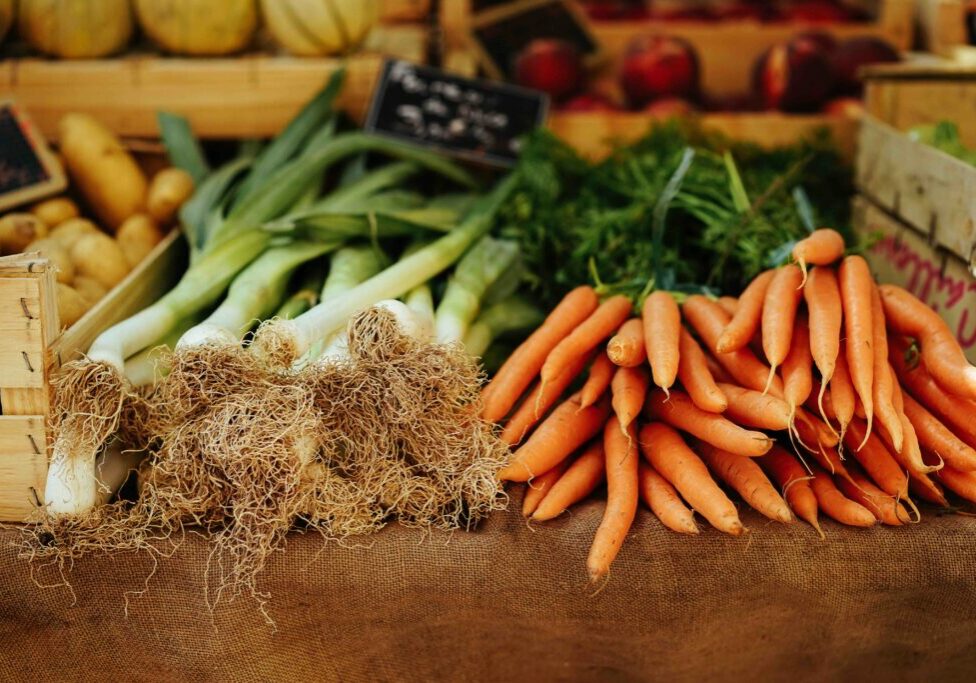 Raw Vegetables Vs Cooked- Benefits, Tips And Best Practices For This Simple Gut-Healing Hack