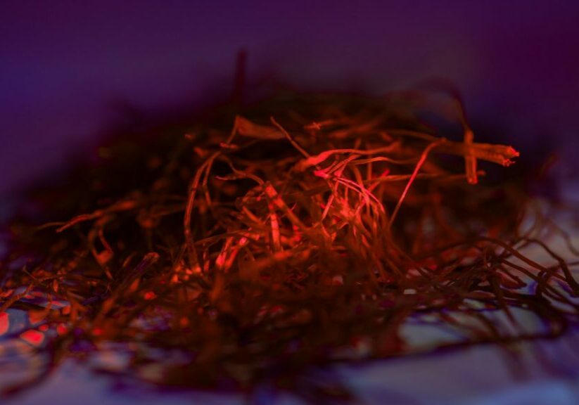 Article Image Sizing - 1