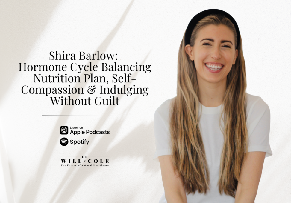 Shira Barlow - Blog Post - New