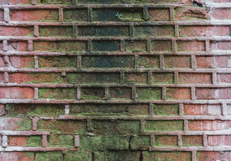 Mold Exposure Symptoms