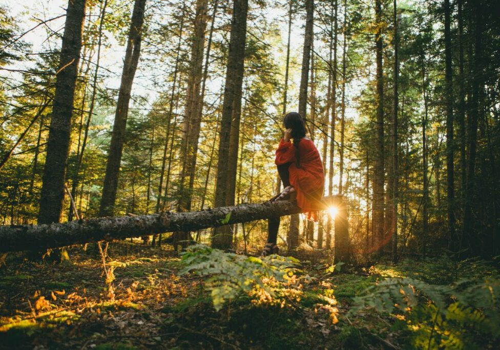 Reconnect With Nature